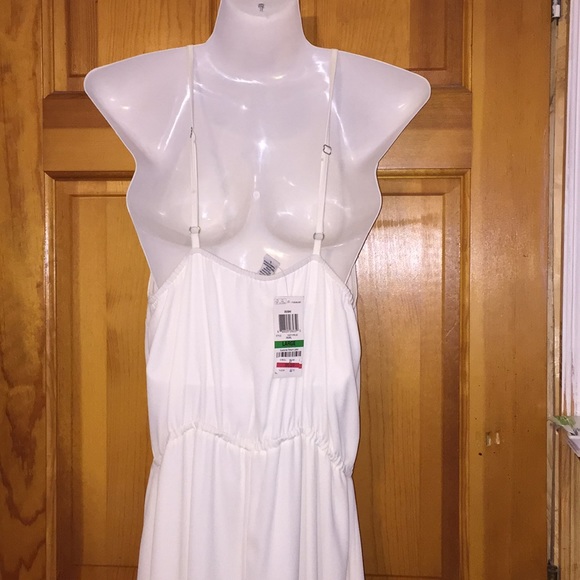 NWT Sheer maxi dress - Picture 4 of 7